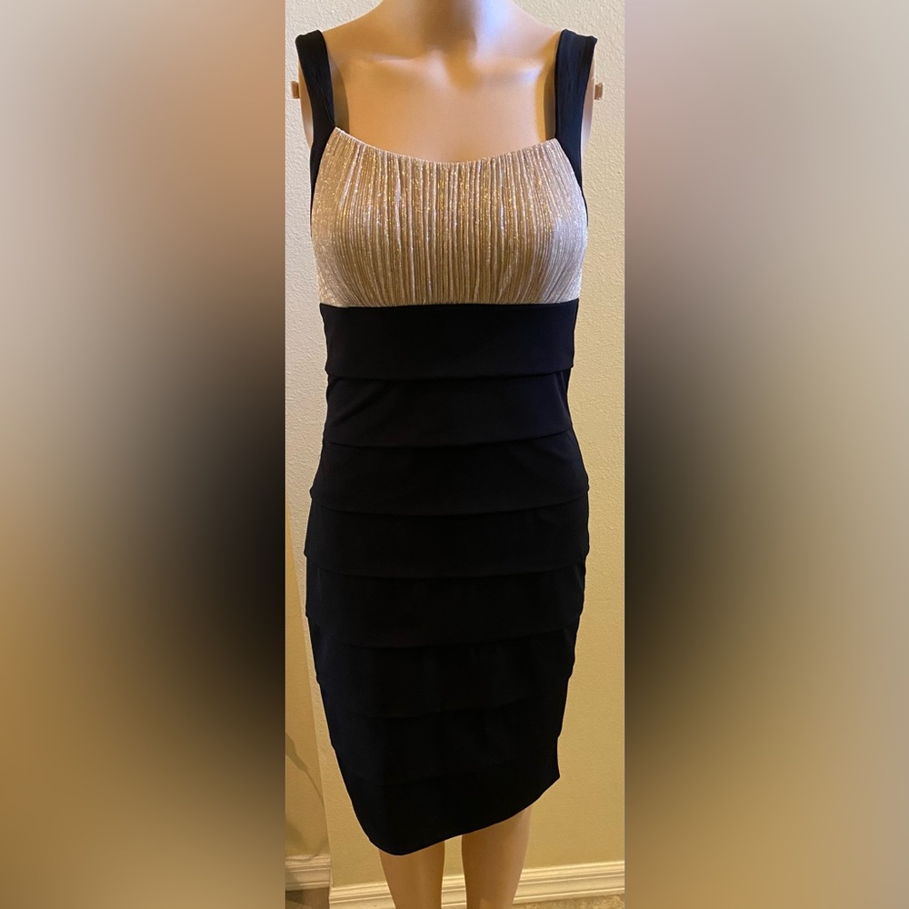 Enfocus Studio dress